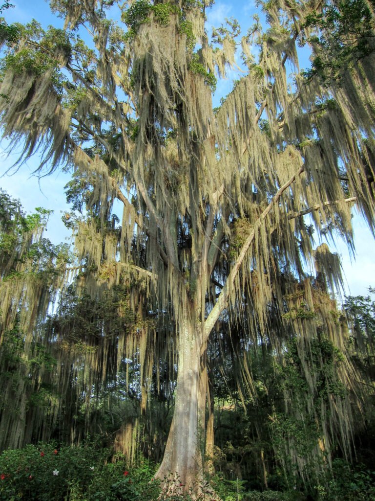 fotógrafo profesional en Murcia